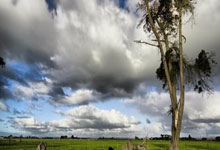 利物浦门将出色表现,多次救险力保球队胜利