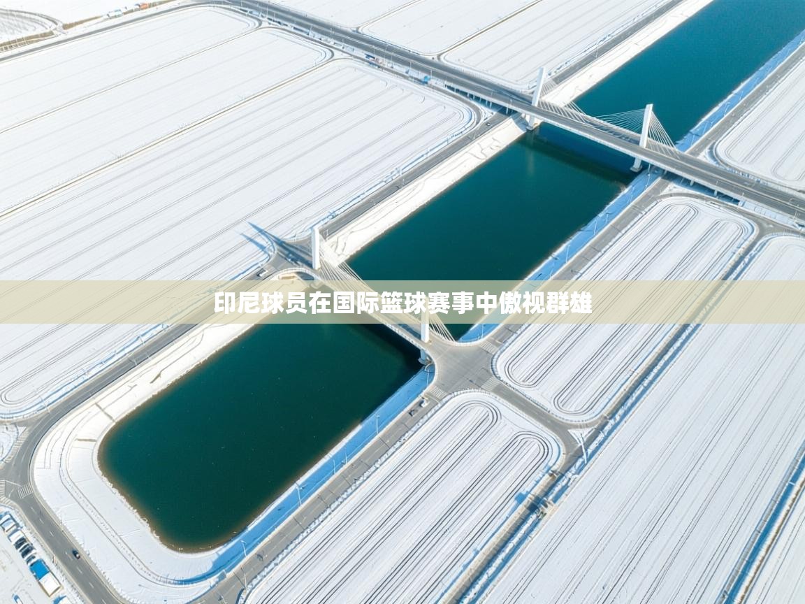 印尼球员在国际篮球赛事中傲视群雄 第1张