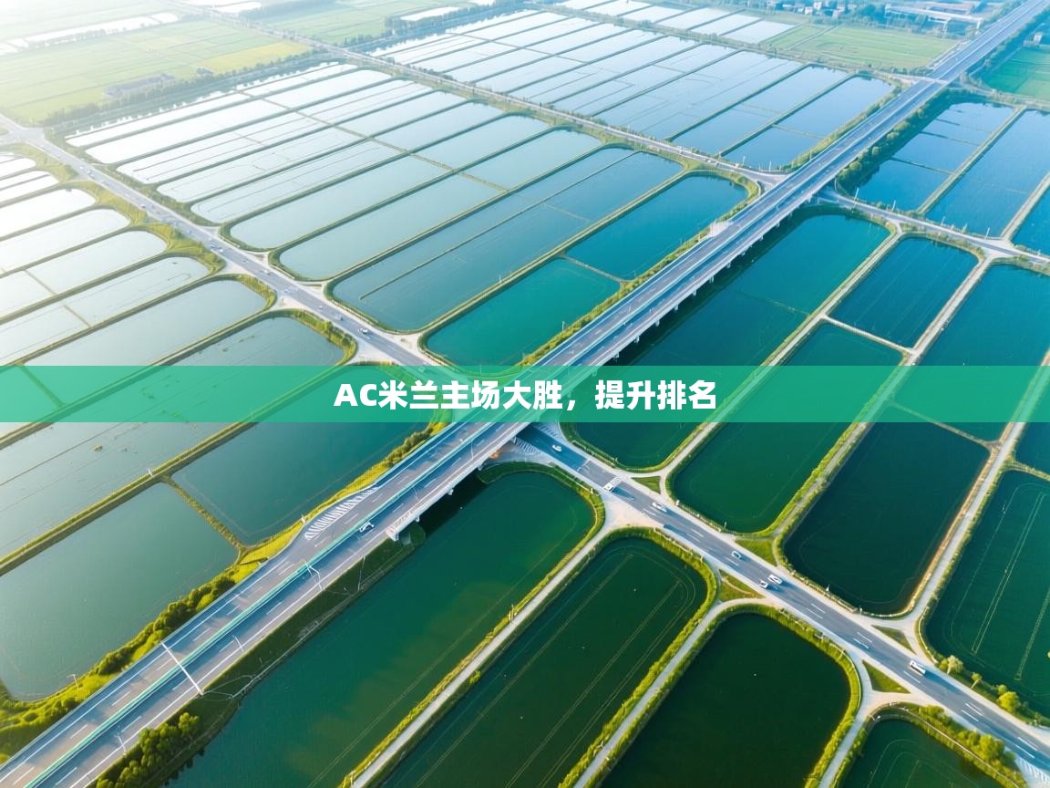 AC米兰主场大胜，提升排名  第2张