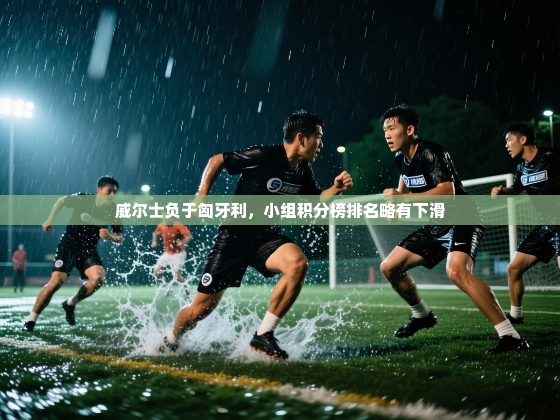 威尔士负于匈牙利，小组积分榜排名略有下滑  第1张