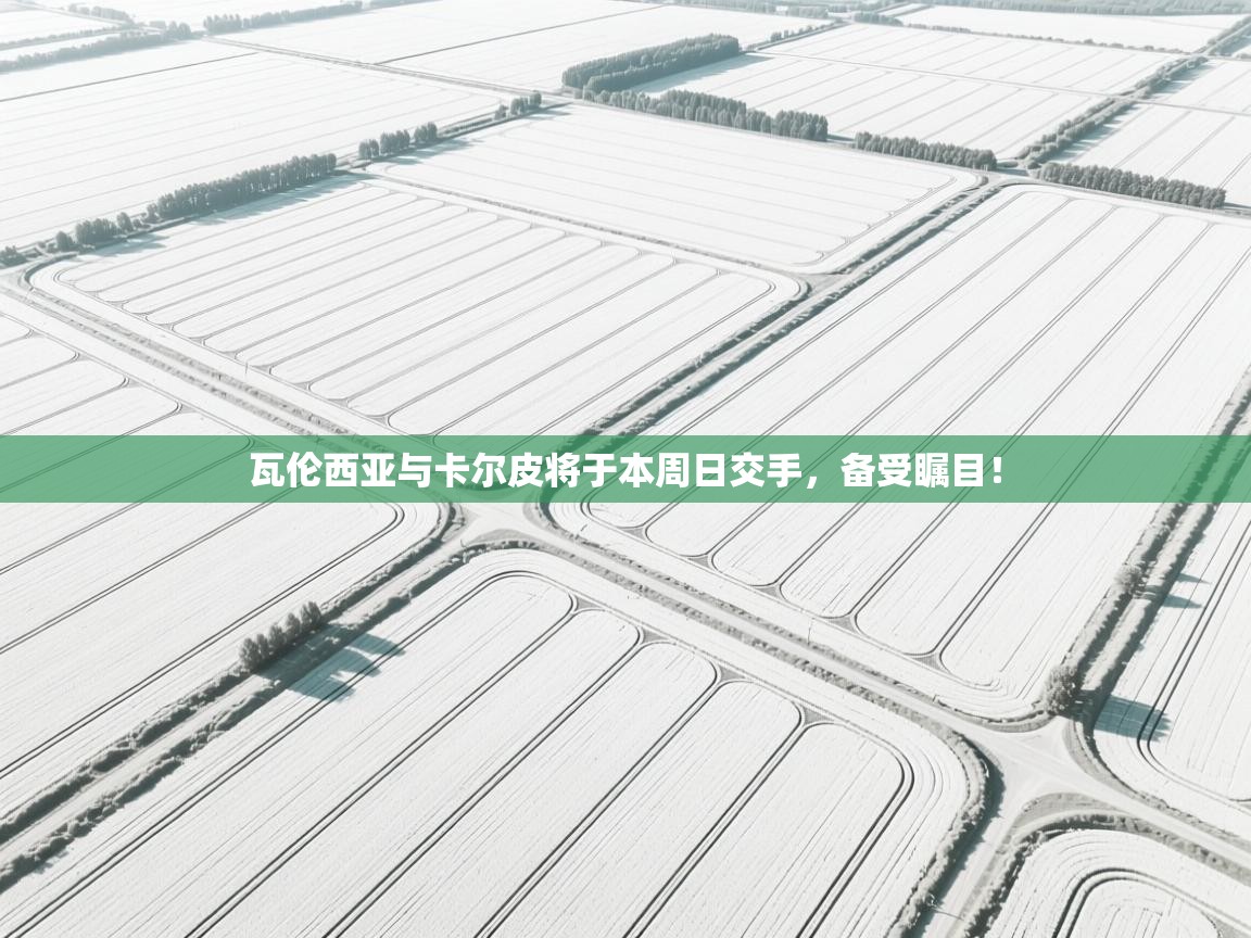 瓦伦西亚与卡尔皮将于本周日交手，备受瞩目！  第2张