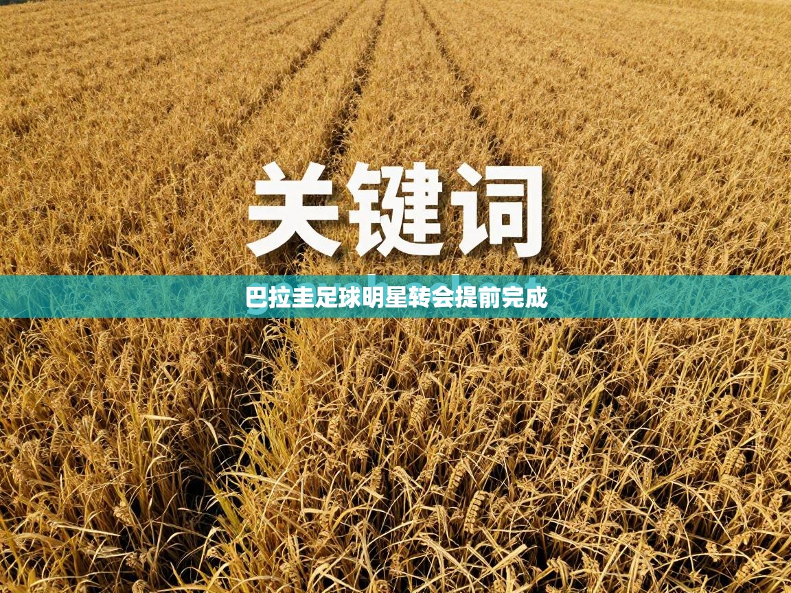 巴拉圭足球明星转会提前完成 第2张