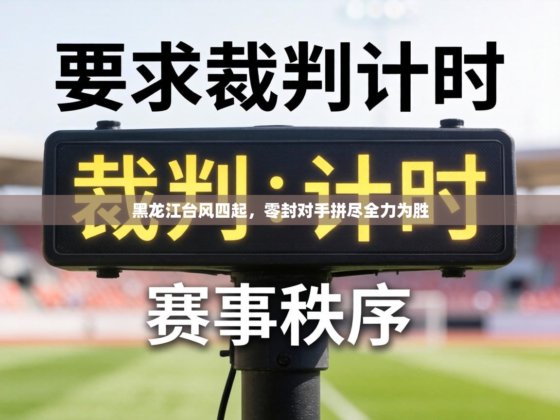 黑龙江台风四起，零封对手拼尽全力为胜  第2张