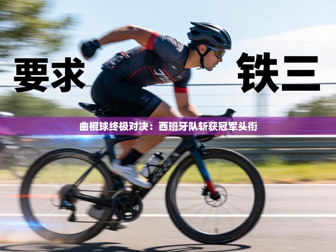 曲棍球终极对决：西班牙队斩获冠军头衔  第2张